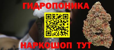 дурь Шахты