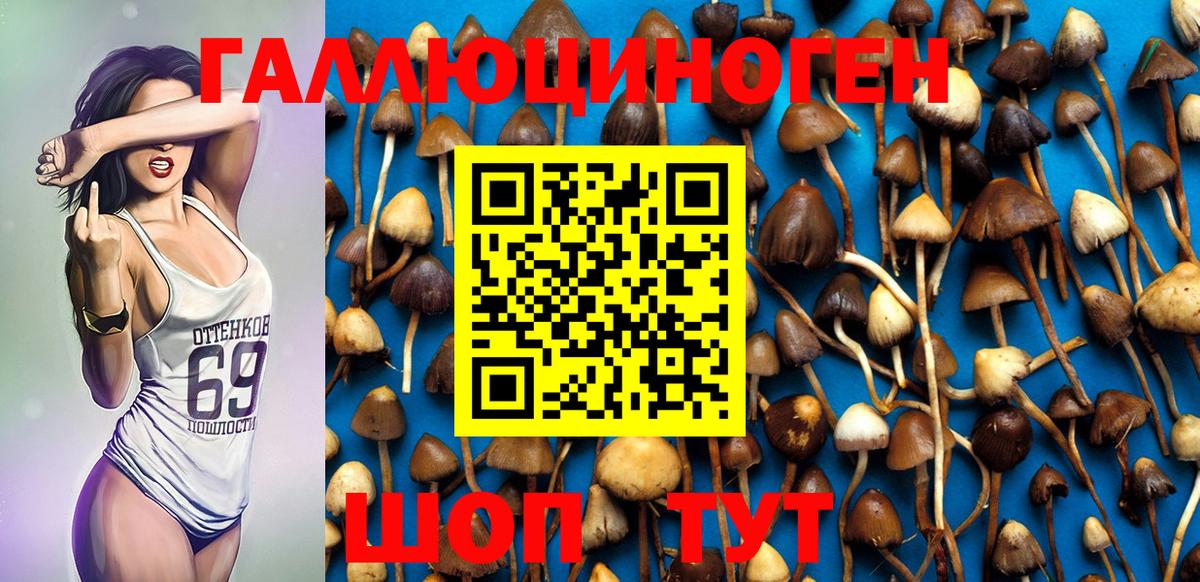 Галлюциногенные грибы Cubensis  Псилоцибиновые грибы Psilocybe  сколько стоит  Белая Калитва  Вход с VPN 